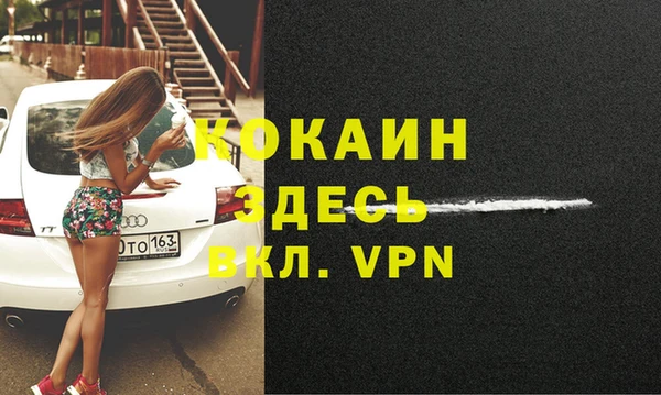 ешки Аркадак