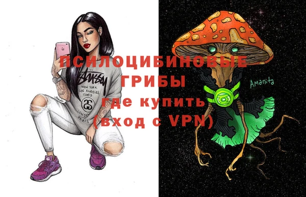 ешки Аркадак