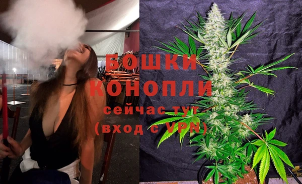 ешки Аркадак