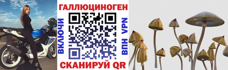 Галлюциногенные грибы GOLDEN TEACHER  дарнет шоп  Сенгилей 